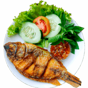 Pangasius Basa